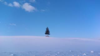 Pension Kinouta - Biei - 1
