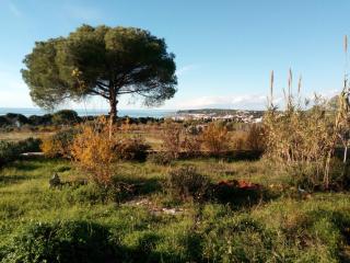 Antica Tenuta - 8