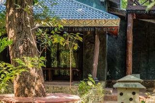 Syna Tiger Resort Bandhavgarh - Amarpur - 2
