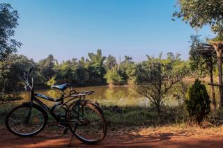 Syna Tiger Resort Bandhavgarh - Amarpur - 3