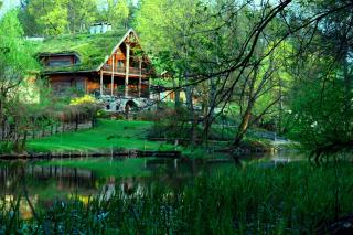 Kraina Alkos - Adults Only (18+) - 9