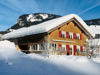 Haus Stabentheiner - Au im Bregenzerwald - 3