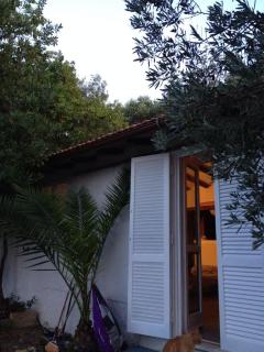 Splendid cottage on Tuscan Sea - 3