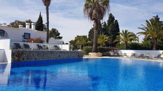 Pestana Palm Gardens - 1