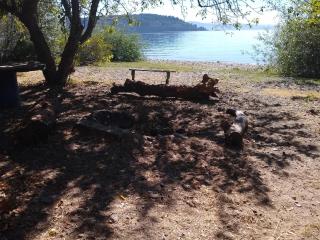 Murmullos del Lago - Bariloche - 9