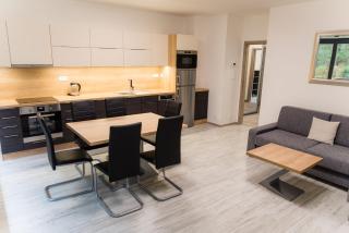 Apartment Mumlava Harrachov 5 - Harrachov - 4