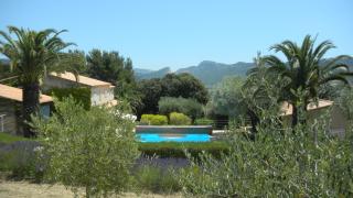 Le Mas des Vignes - Bandol - 7