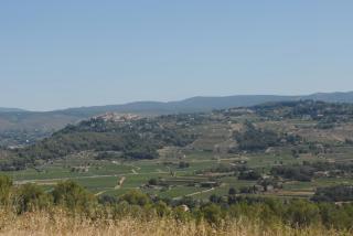 Le Mas des Vignes - Bandol - 2