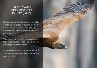 Ferme Fortia - Montréal-les-Sources - 2