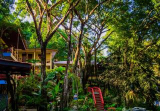 Jungle Beach Hotel Manuel Antonio - Manuel Antonio - 4