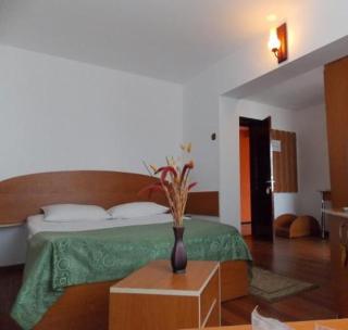 Hotel Amadeo - Iaşi - 9