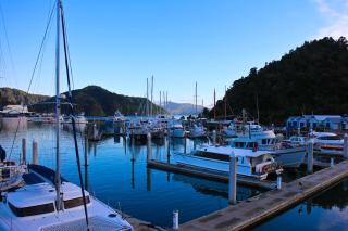 Kippilaw House - Picton - 3