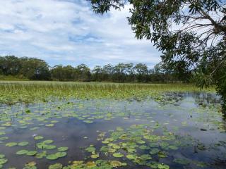 Lake Russell Lakeside Retreat - 2
