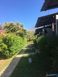 Nature Beach Resort, Koh Lanta - Ko Lanta - 3