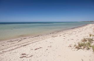 Boardwalk - Quindalup - 0