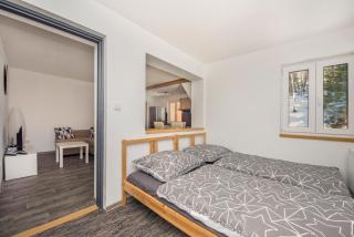 Horalka Apartmán Pec - Pec pod Sněžkou - 4