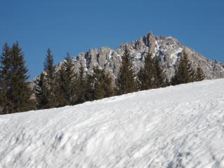 Appartamenti Patrizia - San Pietro di Cadore - 7