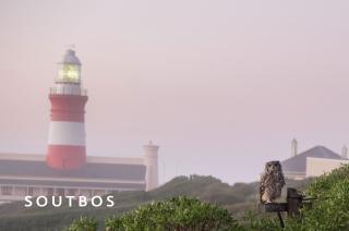 Soutbos & Janfrederik - Agulhas - 6