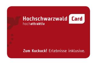 Ferienwohnung Hochfirstblick - Titisee-Neustadt - 9