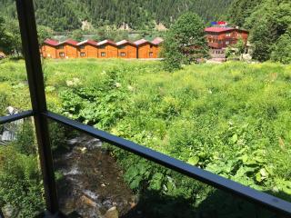 Faraksi Bungalow & Otel - Uzungöl - 6