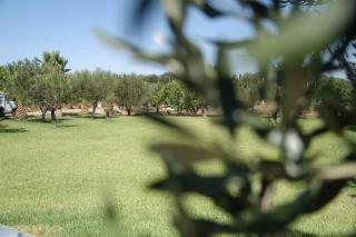 Tenuta Annibale - Leverano - 5