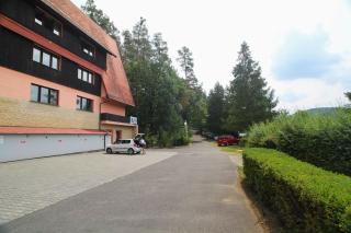 Hotel Laguna Slapy - 4