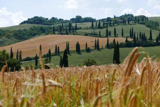 Hotel Del Buono Wellness & Medical Spa - 2