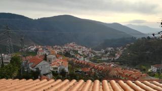 O Vicente - Loriga - 6