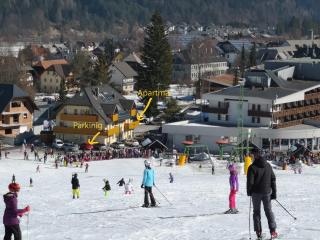 Apartment Maša - Kranjska Gora - 7