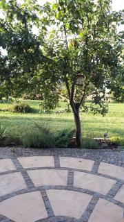 Agroturystyka "JAGAP" OAZA SPOKOJU - Dzierżoniów - 7