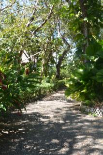 TreeTops Inn - 7