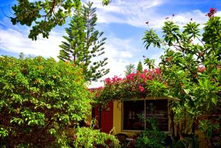The Desoto - Oceanview Inn - Hollywood - 7