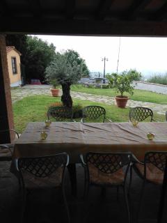Podere Pilar - Montevettolini - 1