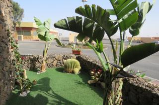 Casa Burgos - Corralejo - 7