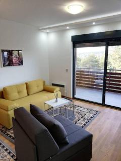 Apartment Violet - Zlatibor - 4