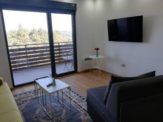 Apartment Violet - Zlatibor - 0
