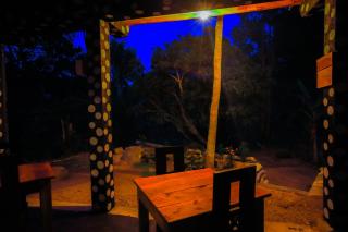 The Winsome & Tree House - 1