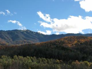 Naughty by Nature - Gatlinburg - 8