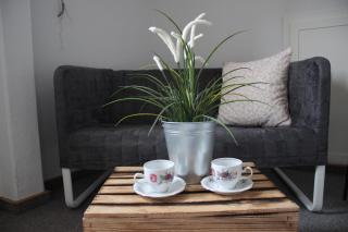 Apartmentshaus Elbblick Zimmer "Bergblick" - Bad Schandau - 0