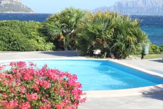 Apartment in S'Abba e Sa Pedra with pool - Golfo Aranci - 7