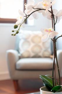 Hampden Apartments - The Henry - 2