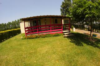 Parc Des Oliviers - Gaudiès - 1