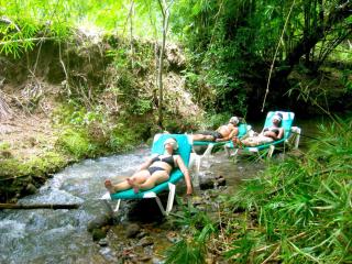 Zimbali Culinary Retreats - Negril - 6