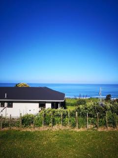 Seaview Cottage - Mokau - 3
