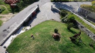 Arouca à Varanda - Arouca - 4