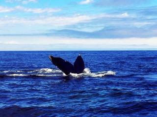 By The Sea Tourist Home - 6