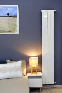 Domus Plaza - Florencia - 1