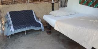 Wildebeeste Lamu - Lamu - 5