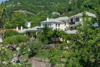 Iliovolo Guesthouse - Milies - 0