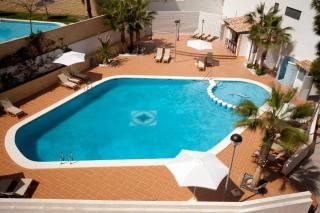 La Familia Gallo Rojo - El Campello - 9
